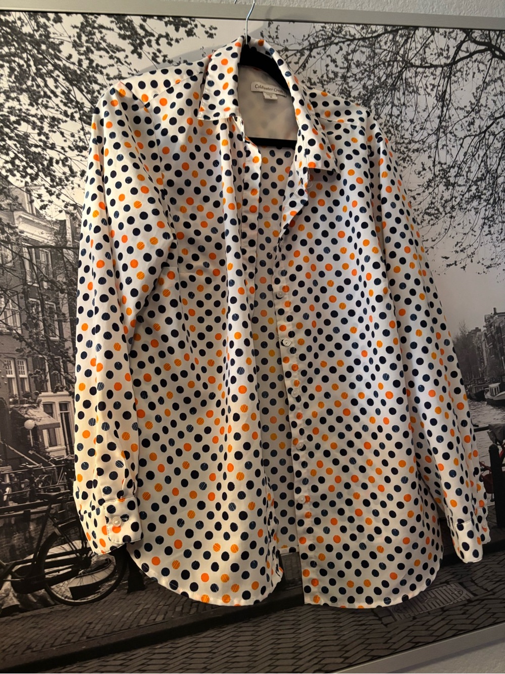 Cold Water Creek Polka Dot BlouseButton Front Top Women's Size XL/16